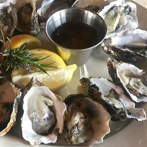 fresh local oysters